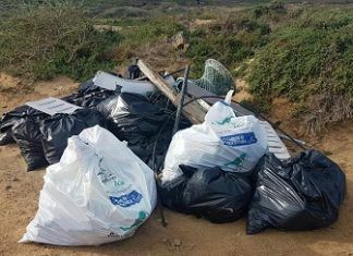 El Cabildo realiza trabajos de limpieza en el Parque Natural de Las Dunas de Corralejo