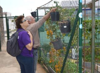 Huertos Urbanos en Puerto del Rosario Imagen de archivo