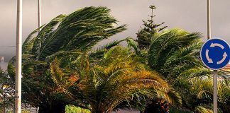 El Gobierno de Canarias actualiza la situación y mantiene la alerta por Viento en El Hierro, La Gomera, Fuerteventura, Lanzarote y cumbres de Tenerife y Gran Canaria