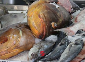 pescado pesca cofradías fuerteventura