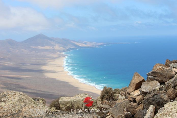 Imagen de archivo de las playas de Fuerteventura. Fuente: Radio Sintonía.
