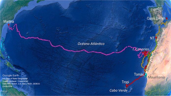 Diferentes recorridos de las tortugas liberadas en Fuerteventura que cruzan el Océano Atlántico