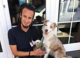 paseador de perros fuerteventura