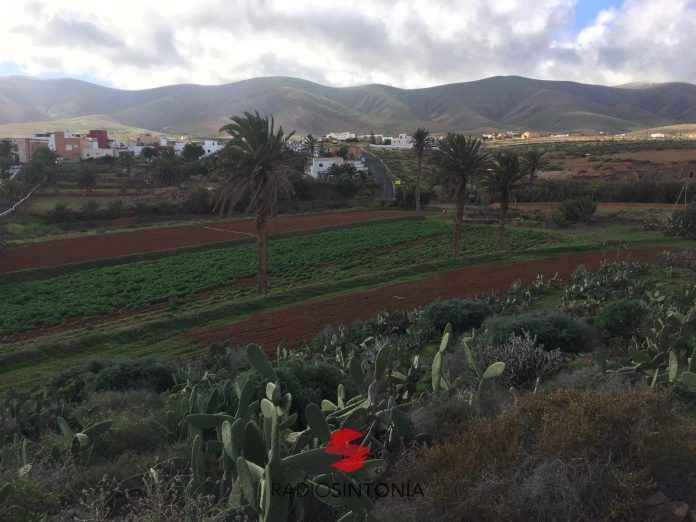 arquitectura gavia paisaje Fuerteventura