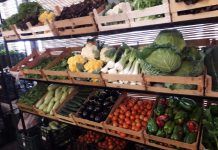 Claudio Gutiérrez: «La doble insularidad agrava el encarecimiento de producir en Fuerteventura» Verduras de Fuerteventura.Archivo Radio Sintonía