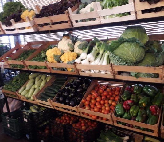 Verduras de Fuerteventura.Archivo Radio Sintonía