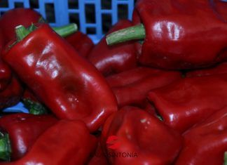 Morro Jable mercadillo