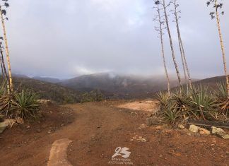 Lo que significa el agua para Fuerteventura alerta lluvias fuerteventura lanzarote