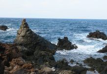 Informativos en Radio Sintonía – 09.12.25