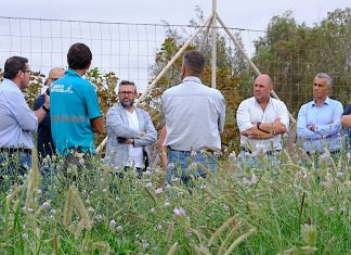 Fuerteventura trabaja en el fomento de la economía circular y la lucha contra la desertificación