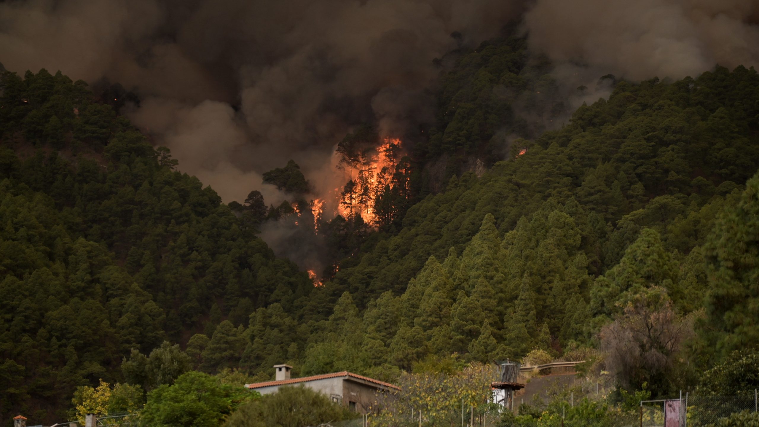 Imagen del incendio en la isla de Tenerife
