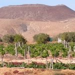 Finca de cultivo ecológico en Casillas de Morales