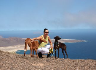 El negativo impacto de la caza sobre las especies y el medio.