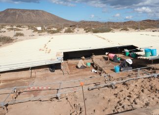 Lo exótico del yacimiento arqueológico Lobos I y la necesidad de seguir investigando en Fuerteventura
