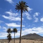 Paisaje de Fuerteventura