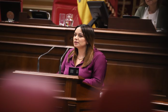 Cristina Calero, diputada del Grupo Nacionalista Canario