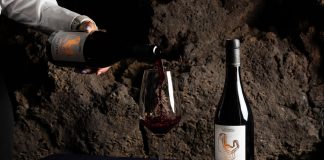 De aficionado del vino a Bodegas Conatvs