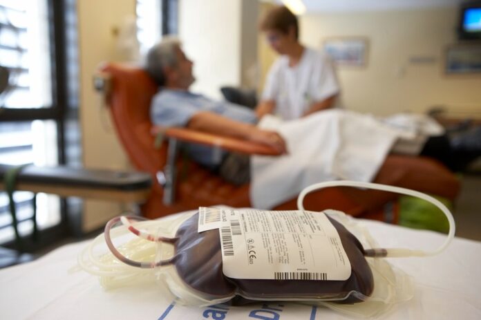 Donación de Médula Ósea