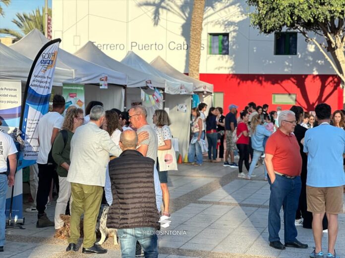 Feria Sembrando Color