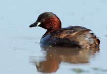 Aniversario de la Dana de Valencia: plantarse ante los eventos extremos agravados por el cambio climático