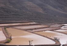 Informativos en Radio Sintonía – 15.12.25