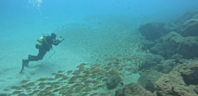 ampliación de la Reserva de la Biosfera marina de Fuerteventura