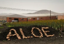 La Fábrica del Aloe presenta sus nuevas instalaciones con el objetivo de acercarse al público majorero