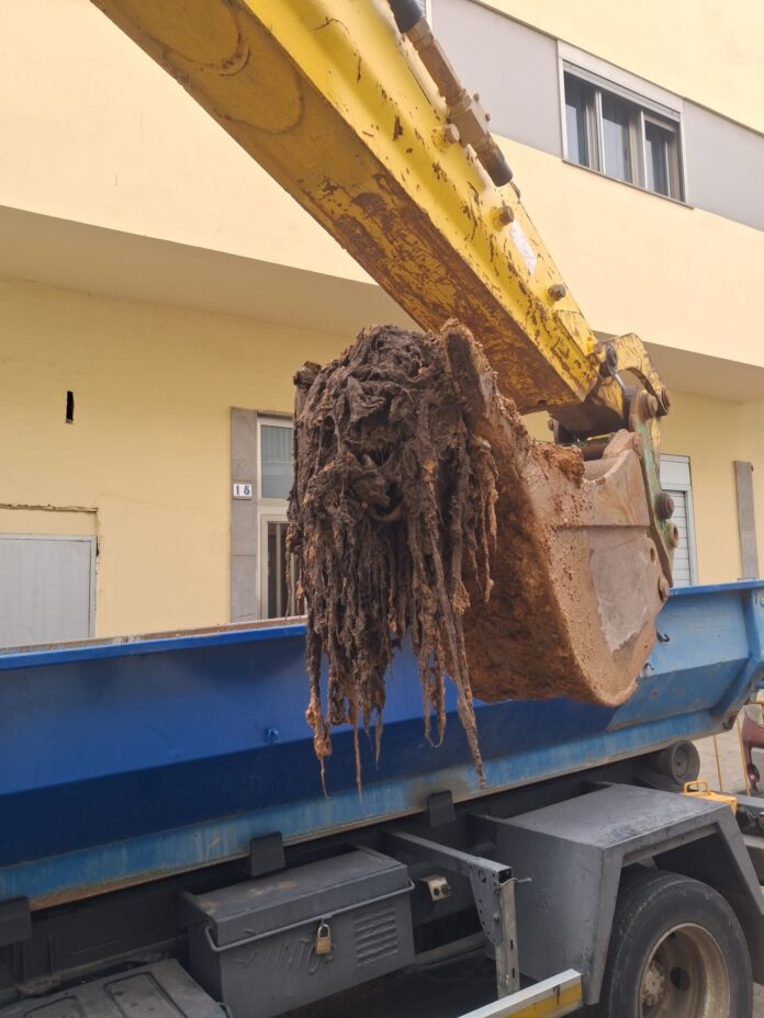 Imagen de acumulación de toallitas en el saneamiento en Puerto del Rosario.