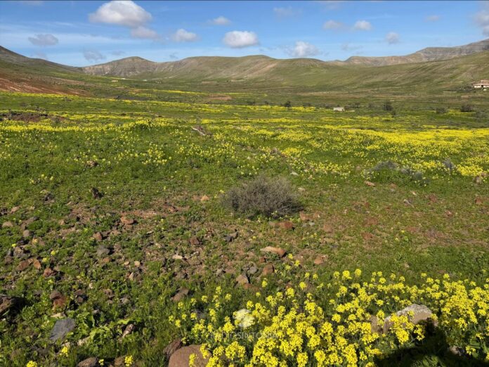 Paisaje de Fuerteventura | Radio Sintonía