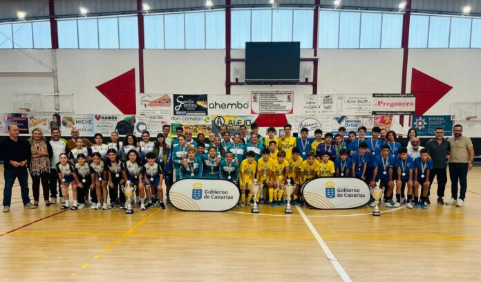 Equipos finalistas en el Campeonato de Canarias de Deportes en Edad Escolar | Gobierno de Canarias