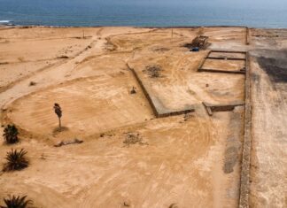 Vista de La rosa de Juana Sánchez-Radio Sintonía