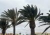 Viento en Fuerteventura | Radio Sintonía