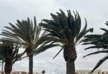 Viento en Fuerteventura | Radio Sintonía