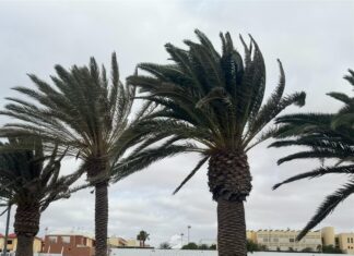Viento en Fuerteventura | Radio Sintonía