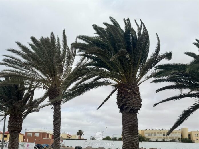 Viento en Fuerteventura | Radio Sintonía