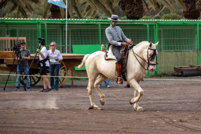 I Concurso de Doma Vaquera en Feaga 2026 | Cabildo de Fuerteventura