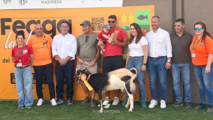 VII Concurso de Valoración Morfológica de la Asociación de Criadores de Cabras de Fuerteventura | Radio Sintonía
