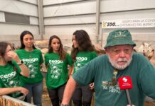 Capote, concurso de valoración morfológica caprina