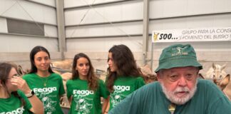 Capote, concurso de valoración morfológica caprina