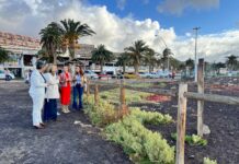 La ‘Naturalización del Saladar de Jandía’ actuará en la recuperación sobre 9.000 m2 Visita al Saladar de Jandía | Gobierno de Canarias