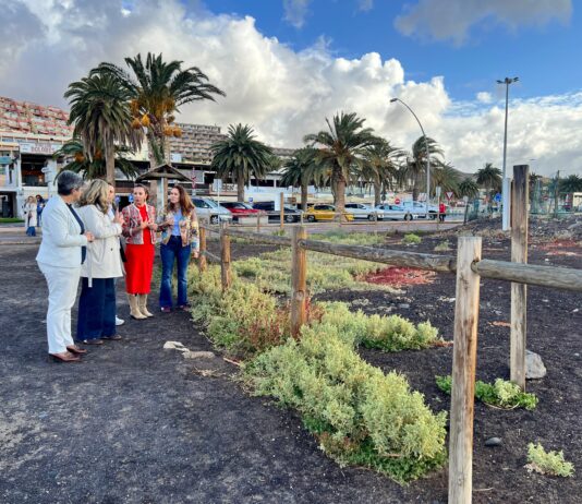 La ‘Naturalización del Saladar de Jandía’ actuará en la recuperación sobre 9.000 m2 Visita al Saladar de Jandía | Gobierno de Canarias