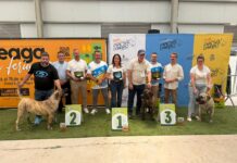 V Concurso Monográfico del Presa Canario en Feaga | Cabildo de Fuerteventura