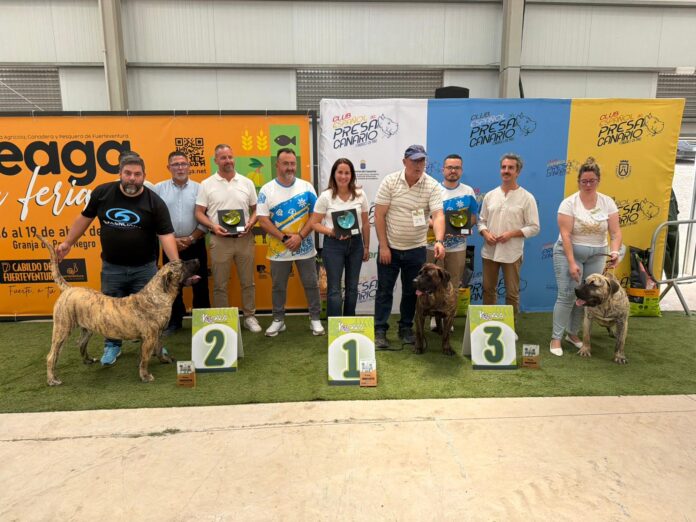 V Concurso Monográfico del Presa Canario en Feaga | Cabildo de Fuerteventura